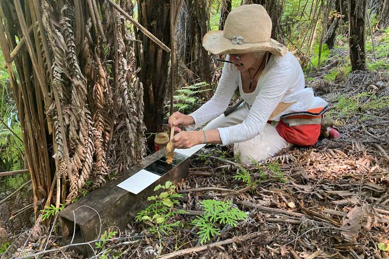 Rangitane Reserve Pest Monitoring